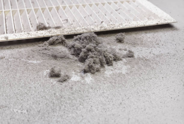 Best Affordable HVAC Duct Cleaning  in Germantown, IL