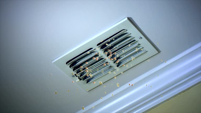 Best Affordable Duct Cleaning Services  in Germantown, IL